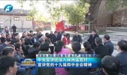 林州爆料新闻网最新疫情,多举措应对，防控形势持续向好