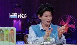 丁禹兮粉丝数最新爆料,人气飙升引关注