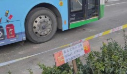 石家庄爆料拥堵最新消息