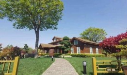 重庆小车爆料最新消息查询,最新事故现场细节及调查进展披露